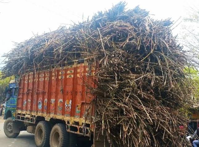 ओवरलोड गन्ना लदे ट्रक बने हैं बवाल -ए- जान