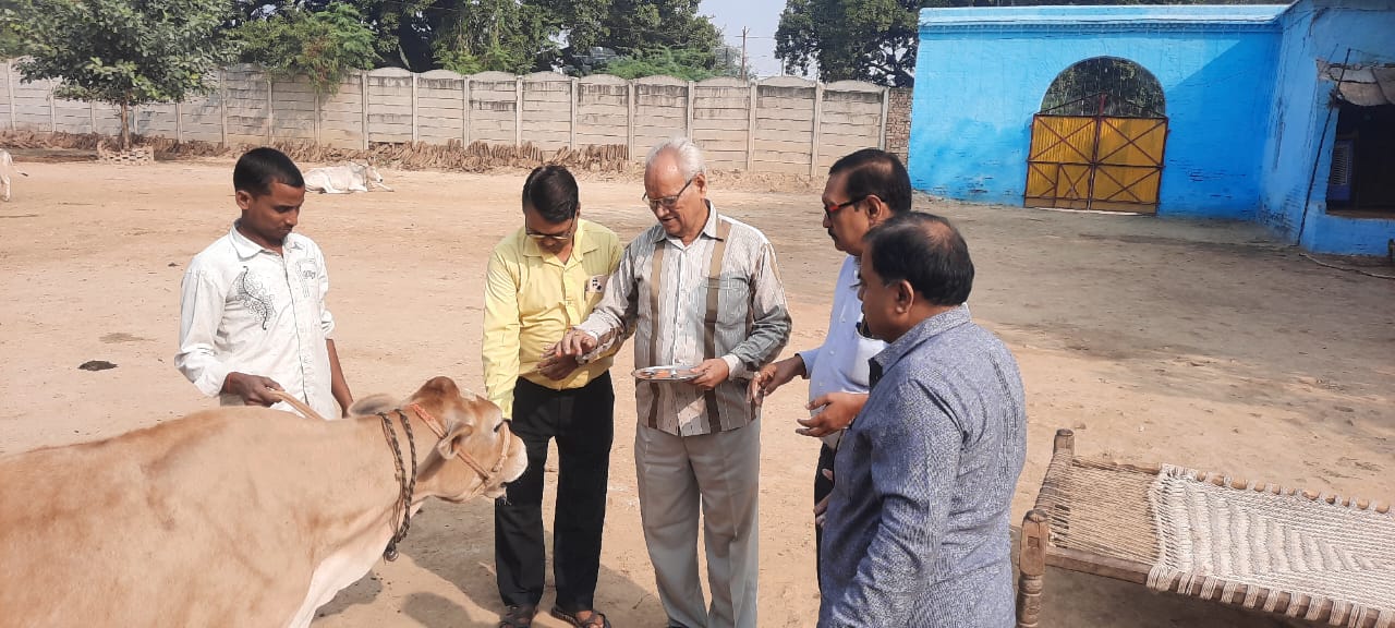 गोपाष्टमी पर्व पर श्रीकृष्ण गौशाला में गायों का किया गया पूजन