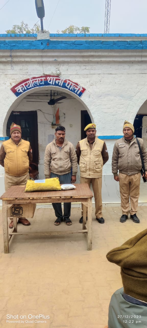 पाली पुलिस ने गांजा के साथ एक को दबोचा