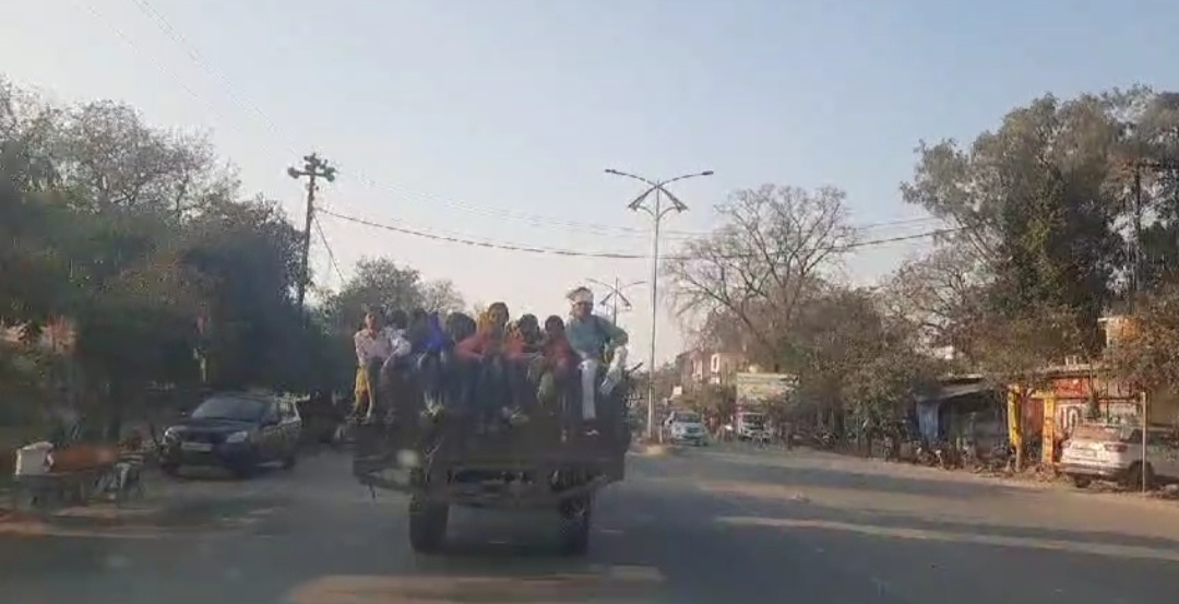 सावरियां लादकर कोतवाली के सामने से फर्राटा भर रही हैं ट्रैक्टर ट्रालियां
