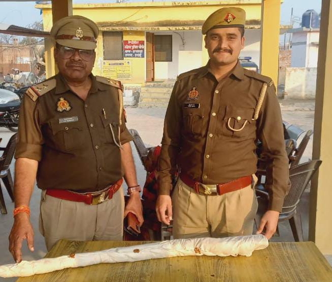 हरपालपुर पुलिस ने झाड़ियों से बरामद की देशी राइफल