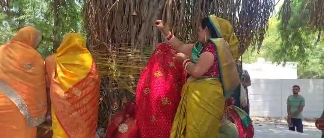 बरगदही की पूजा के दौरान महिलाओं पर मधुमक्खियों का हमला, कई महिलाओं को काटा